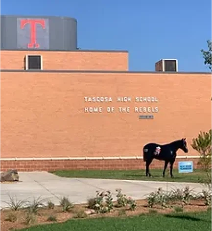 Plumbing service in schools